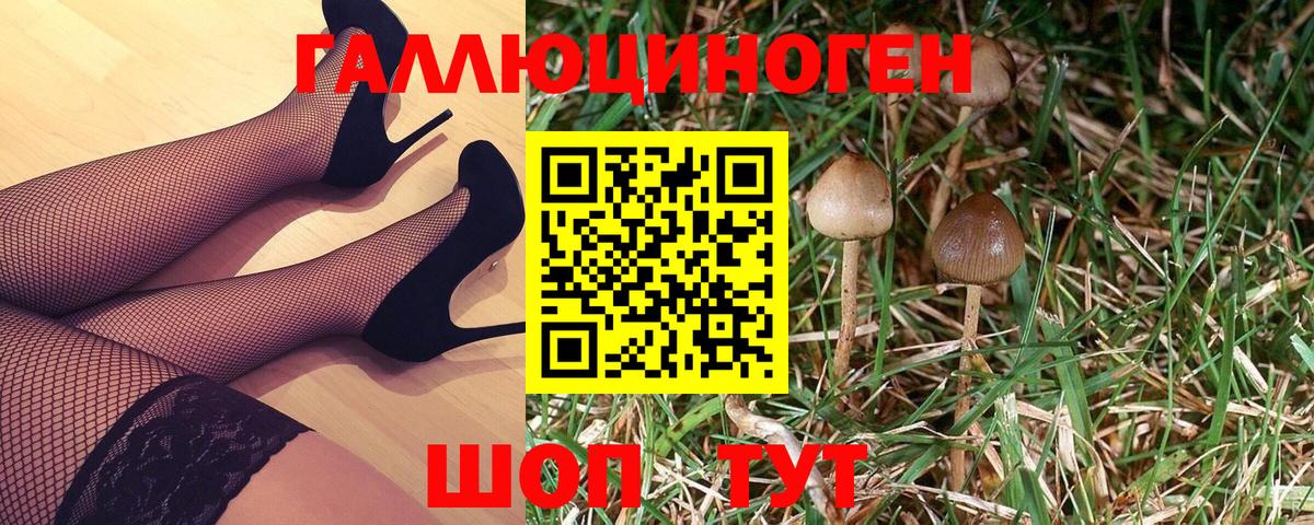 Псилоцибиновые грибы Magic Shrooms  Вход с VPN  Балтийск 