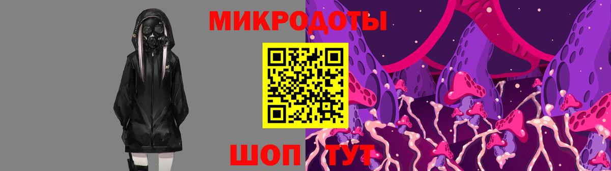 Галлюциногенные грибы ЛСД Балтийск